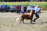 WJ6_4816