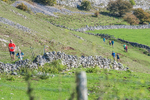 Ilam-863