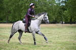 WJ6_5521