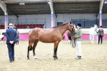 SBM_01190