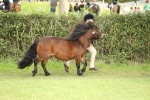 SBM_68537