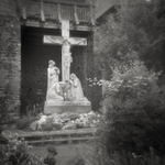 Tranquil Garden