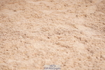 240506A-110828-08519
