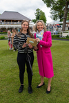 Race 1 13.50pm Queen Mother's Cup Handicap portfolio