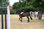 WJ6_3963