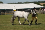 SBM_07633
