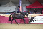 SBM_09269