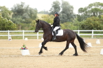 SBM_015041