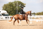 SBM_06789