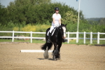 SBM_007884