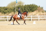 SBM_016997