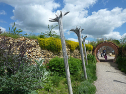 Butterfly World Project portfolio