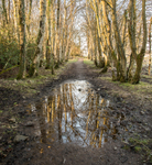 Garlieston