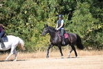 WJ6_8153