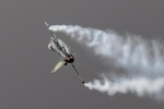 N0.0098. Belgian Air Force F-16