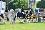 SBM_09459