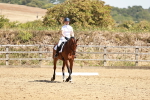 SBM_002844