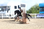 SBM_11261