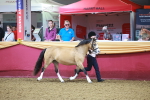SBM_14678