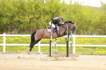 SBM_005509