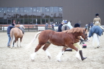 SBM_007278