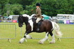 SBM_01189