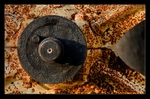 Gray Wheel