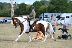 WJ7_7782