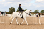 SBM_15884