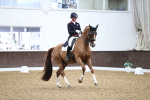 SBM_009219