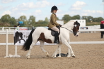 SBM_14633