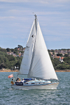 190729 FORTUNE 1Y3A6428