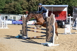 Class 5: Pony Discovery/90cm open portfolio