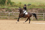 SBM_001413