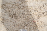 250613A-083228-00968
