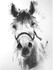 "HORSE"