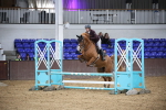 SBM_002653