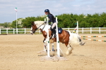 SBM_007815