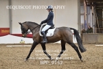 BPP_9152