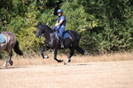 WJ6_8693