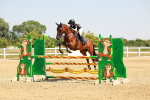 SBM_001685
