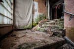 WFBR Radio (Baltimore, MD) | Moldy Steps