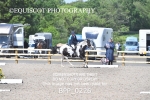 BPP_0226