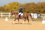 SBM_009284