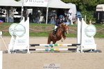 261003A-105103-00191