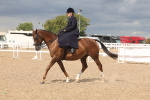 SBM_06366