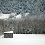 Shed in Winter