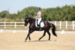SBM_001565