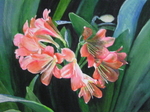 Lilies