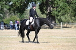 WJ7_9547